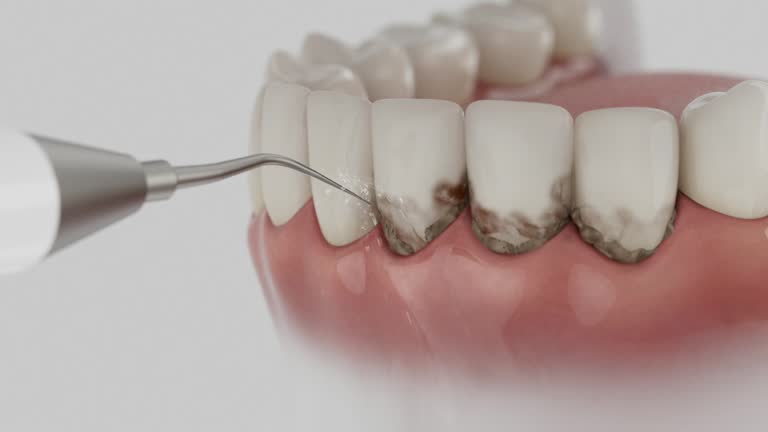 Reliable Dental contractor in Ridgeville, SC by Dentist Open Now